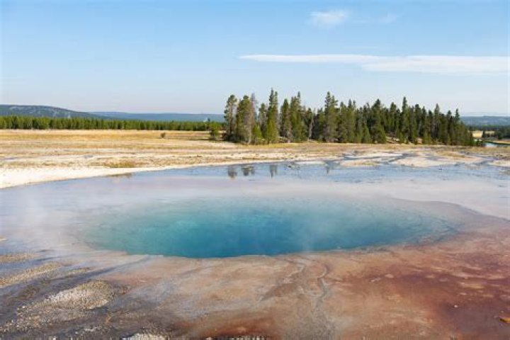 Top 10 Yellowstone Moments That Shocked Everyone
