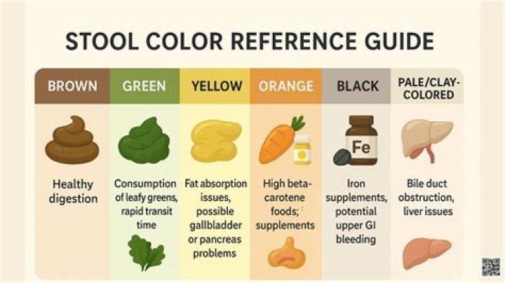 Understanding Cider Vinegar Stool Color