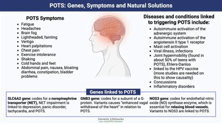 Understanding the Connection Between POTS and Anorexia: Causes, Symptoms, and Treatment
