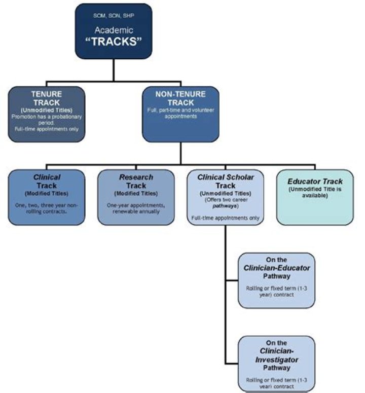 Understanding the Faculty Ranks and Tracks