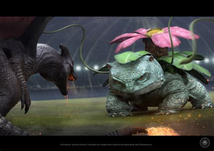 Venusaur vs Charizard | Bulbagarden