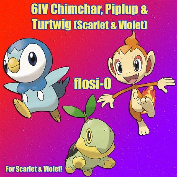 wanted: piplup chimchar and turtwig