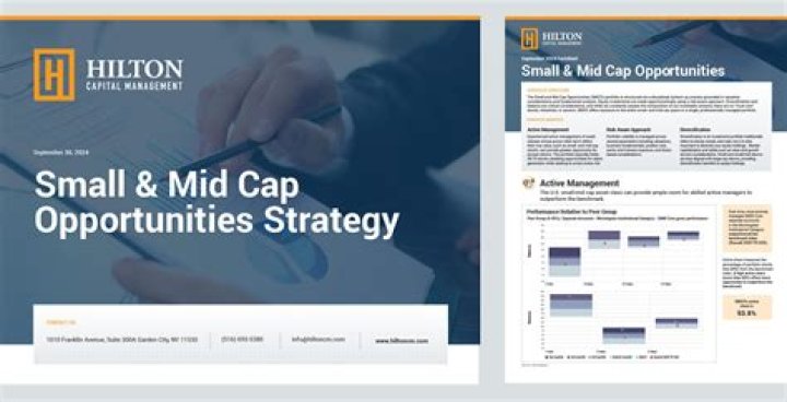 WELLINGTON CIF II MID CAP OPPORTUNITIES S1