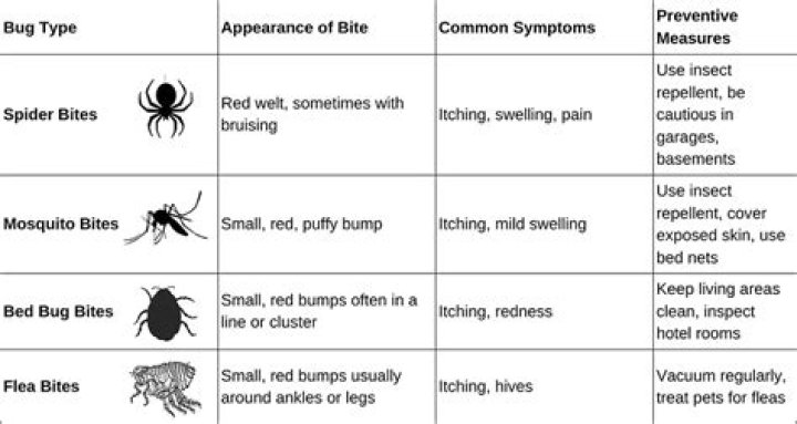 What Kind Of Bug Bite Leaves A Bruise - Causes, Symptoms, and Treatment