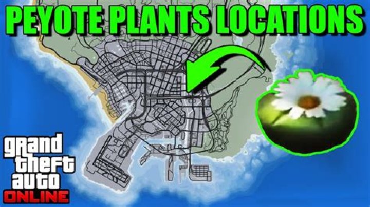 Where To Find Peyote Plant Locations In GTA Online