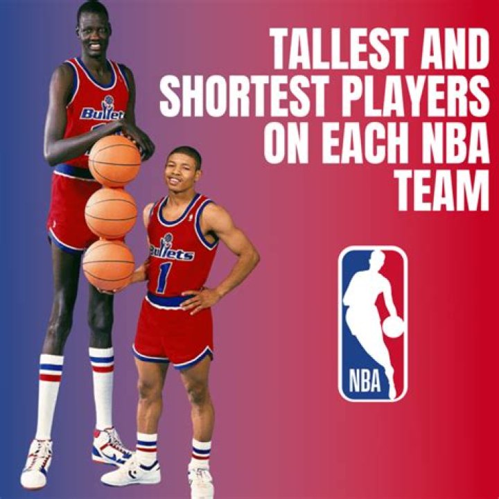 Who is the tallest basketball player in the NBA right now? Their height and bio summaries