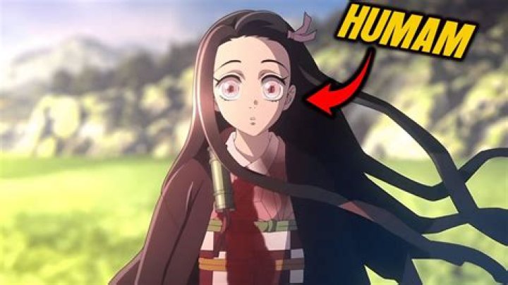Why Can Nezuko Go In The Sun? How Did Nezuko Conquer The Sun?