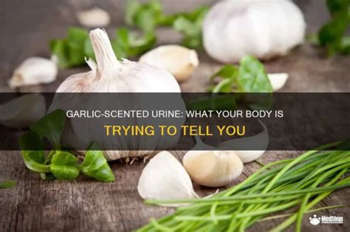 Why Does My Urine Smell Like Garlic? Causes, Symptoms, and Treatment