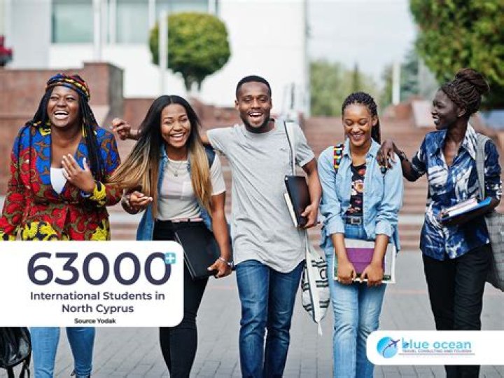 Why International Students Should Intern in the Netherlands