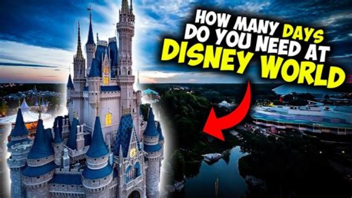 Why Is Disney World Empty? How Much Of Disney World Is Unused?