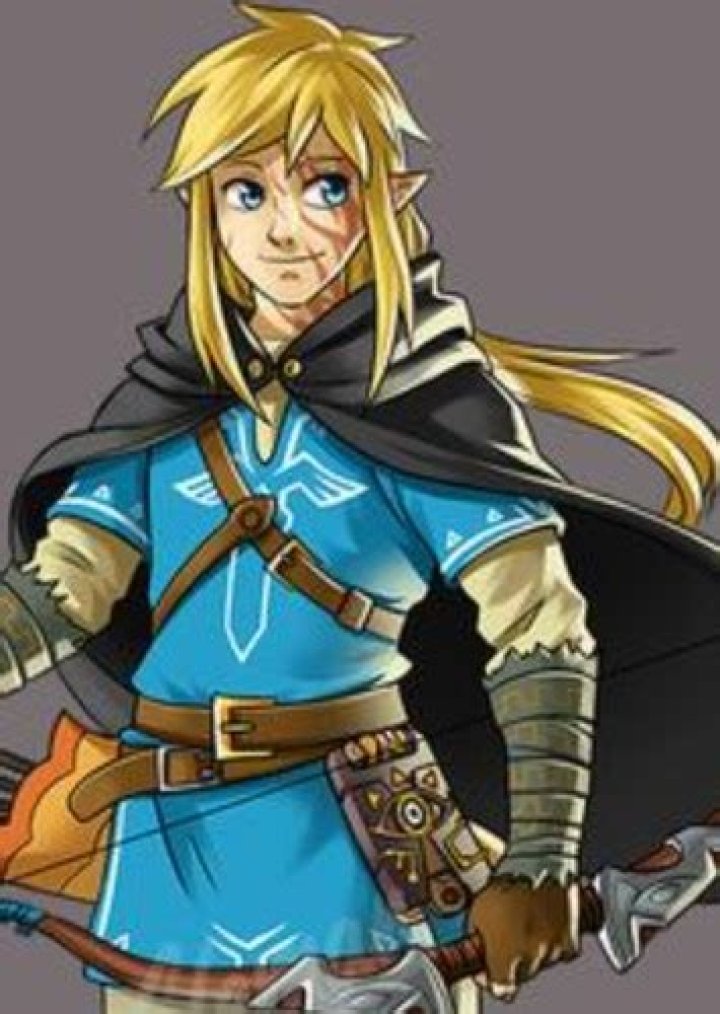 Wild Fan Casting for Linked Universe: The Animated Series | myCast